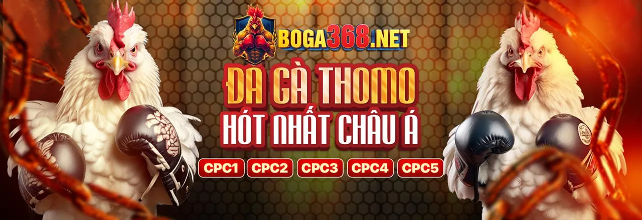 Đá gà trực tuyến hb888 khuyến mãi
